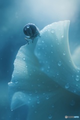 小さなことで、世界は変わる