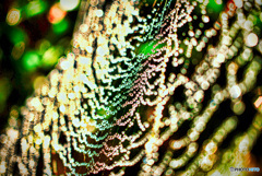 宙に浮かぶクリスマスツリー