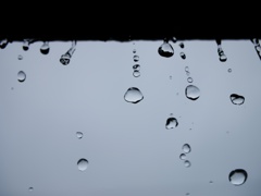 涙1