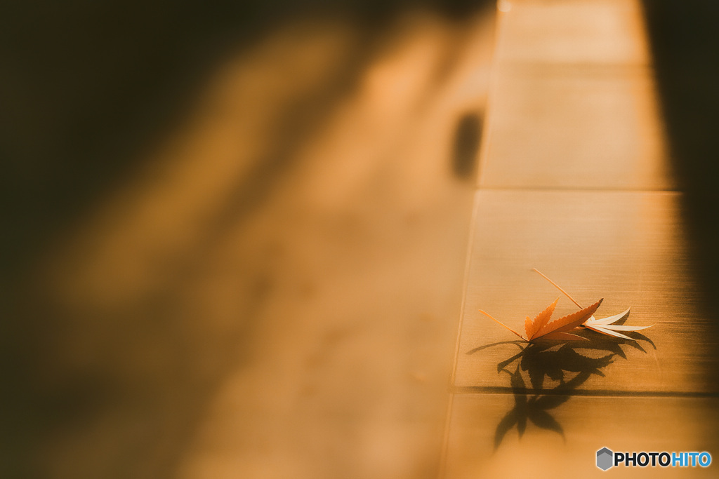 静やかに残された記