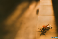 静やかに残された記