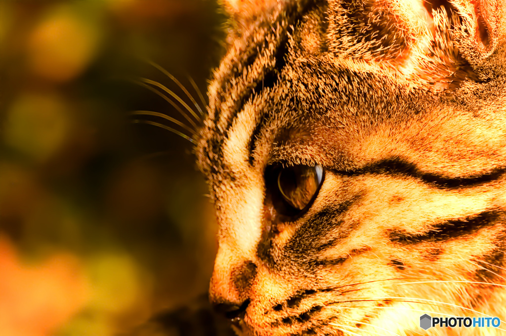 人間っていいな