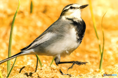 涙が零れないように