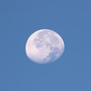 白い月-dont harvest moon-