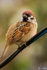 師走に振り返る