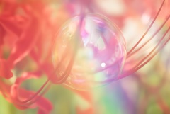 °✧シャボン玉とヒガン花❀