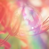 °✧シャボン玉とヒガン花❀