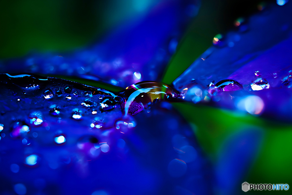 その日限りの虹