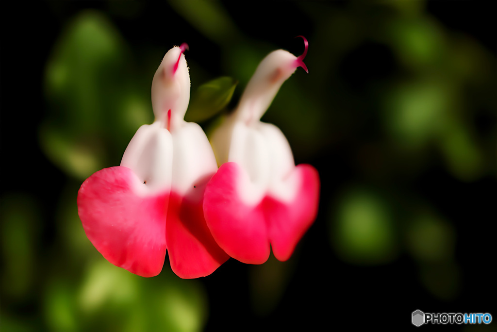 優しさのカタチ