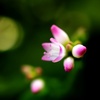 キュートなお月見。
