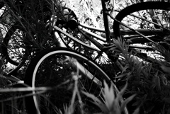 放置自転車 1
