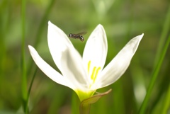 夏も終わる