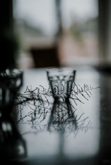 Botanical of Serenity