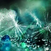 blue tears.