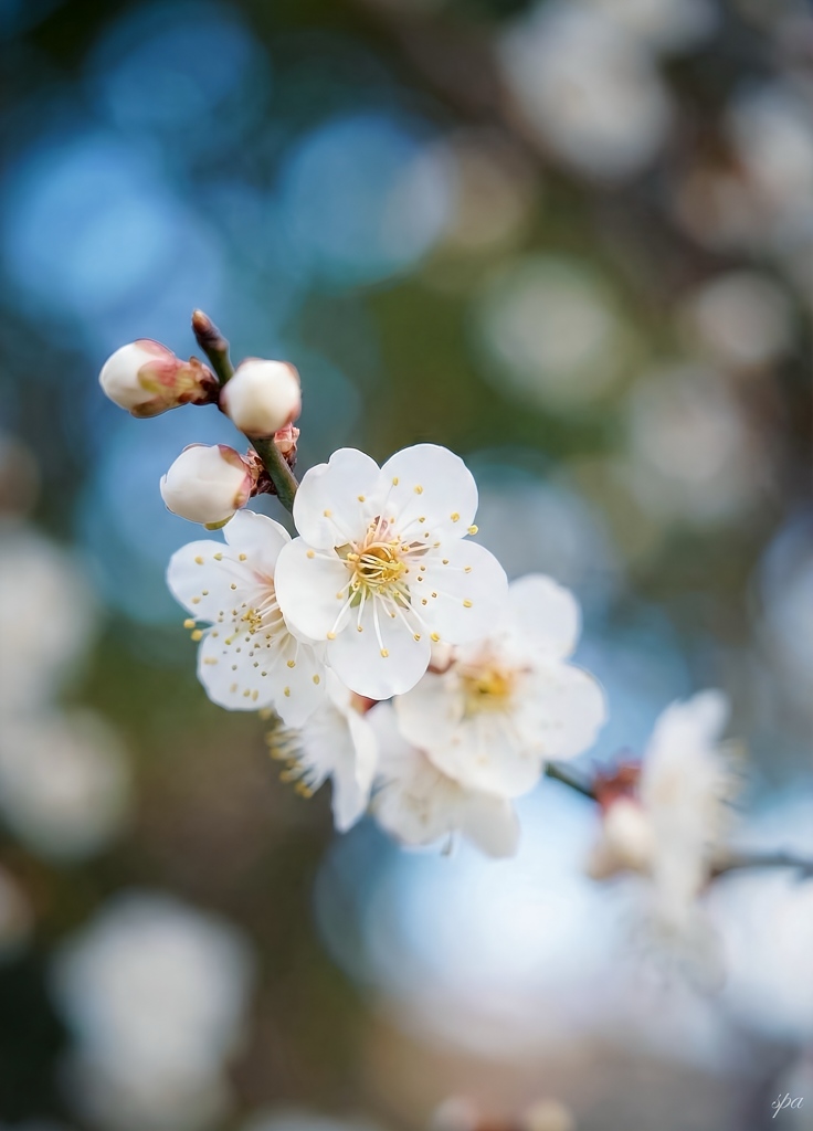 Color spill everywhere