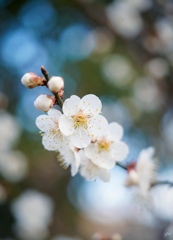 Color spill everywhere