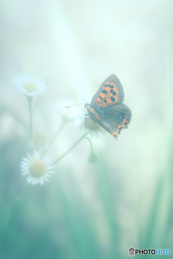 世界がとまる時