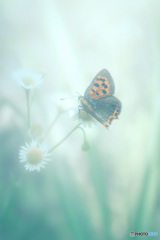 世界がとまる時