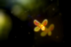 散花歌
