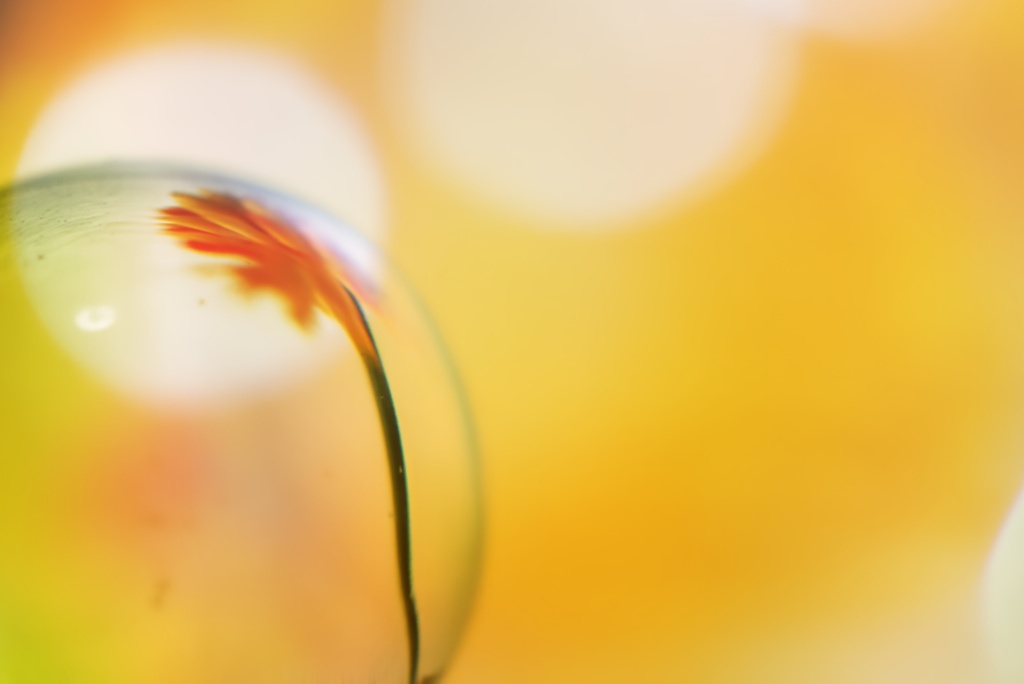 水中花