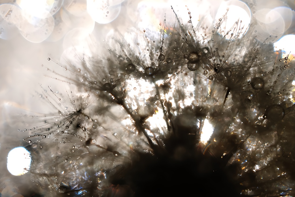 glass heart.