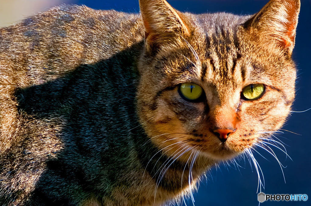 静かなる問いかけ