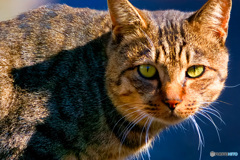 静かなる問いかけ