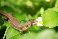 ばったり。