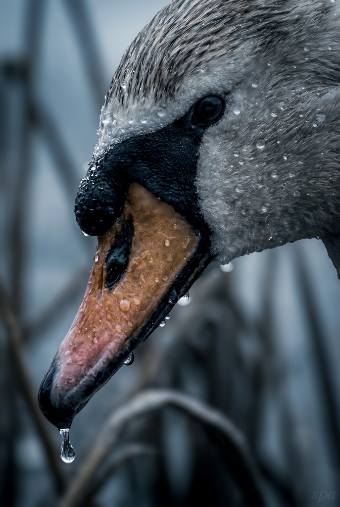 The Cold Holds Everything