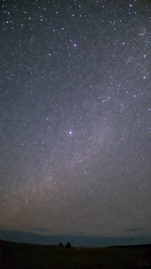 Still, the Night Continues2025⭐️