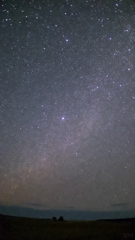 Still, the Night Continues2025⭐️