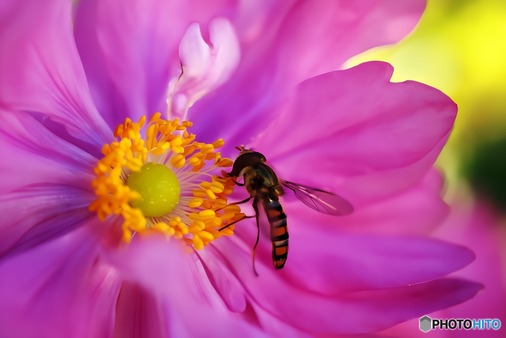 やがて秋が終わり、