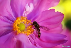 やがて秋が終わり、