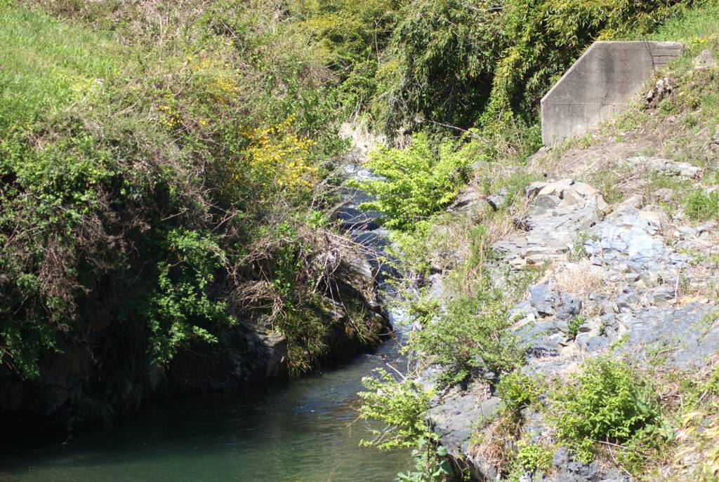 渓流