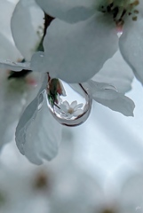 Everything, held small