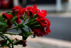 道端に花束を