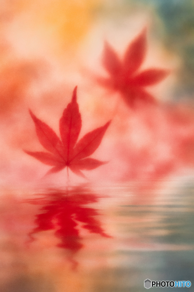 紅幻水鏡(こうげんすいきょう)