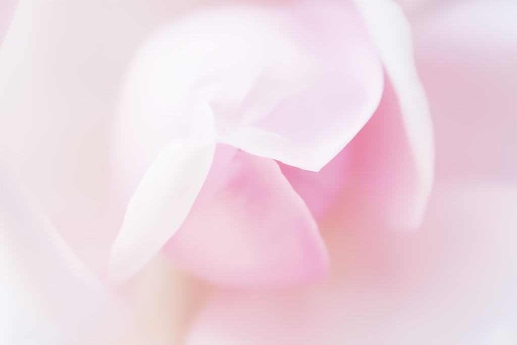 4 you.Thanks.