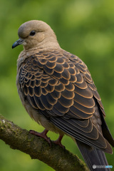 微睡から覚めて