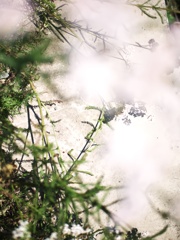 砂塵