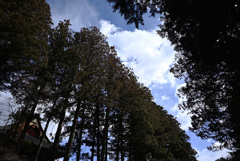 隙間から見える空