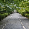 お寺への道