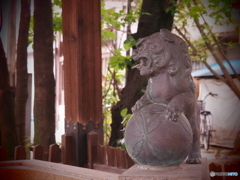 視線
