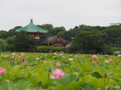 うえの夏祭り
