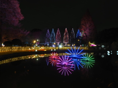 イルミネーション