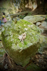 DSCF5909