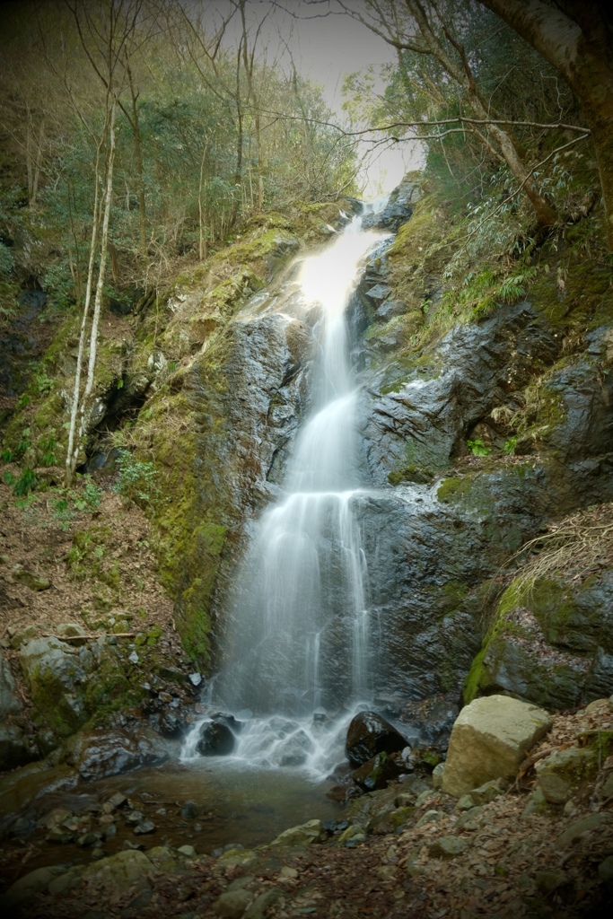 DSCF5865