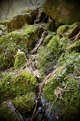 DSCF5895