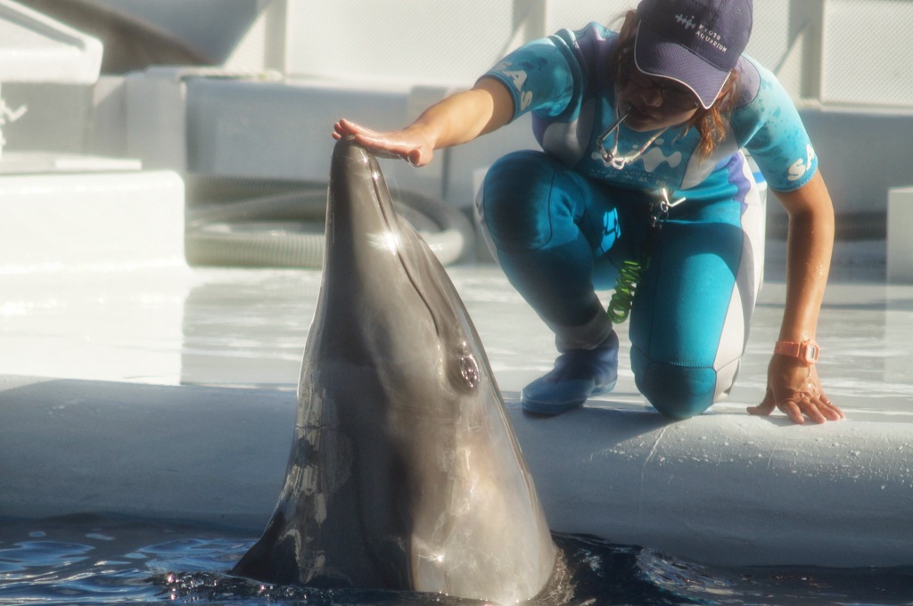 京都水族館