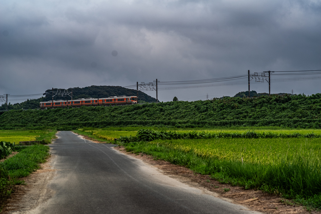田園を走る電車